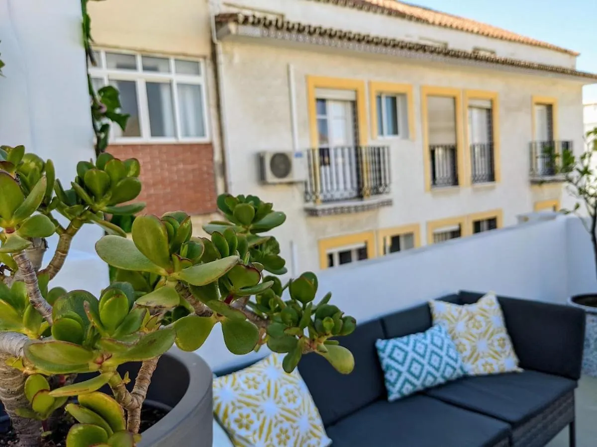 Central Townhouse With Amazing Rooftop Terrace Villa Malaga Spain